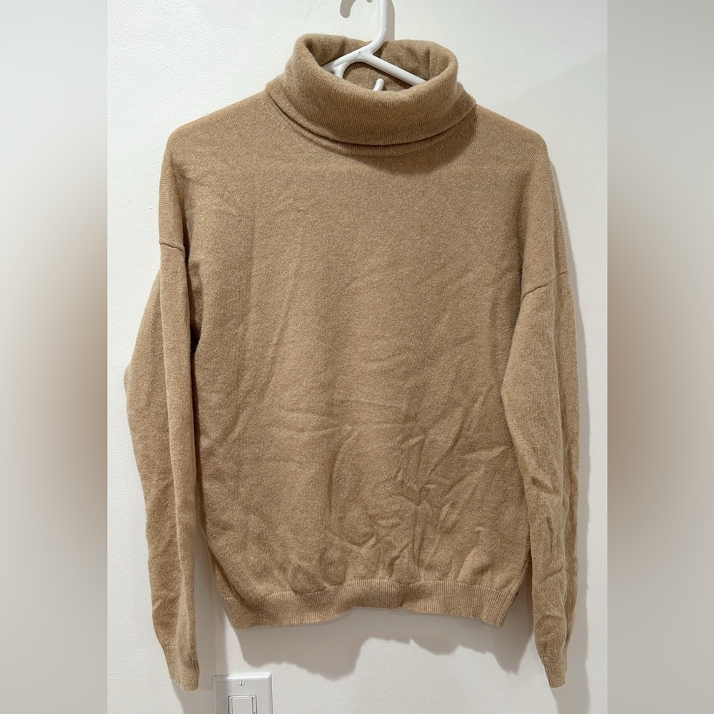 Aritzia Turtleneck Sweater